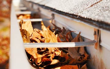 Renton gutter cleaning companies