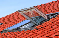 Renton roof window